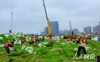 拦截能力大幅提升，防线更加牢不可破