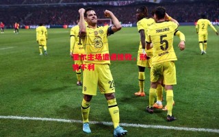 星空体育app-里尔主场遭遇挫败，形势不利