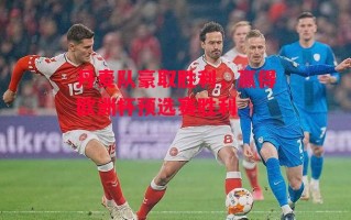 星空体育-丹麦队豪取胜利，赢得欧洲杯预选赛胜利