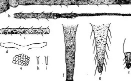 星空体育官网-米锥为普匹勉剃阵隆讯线怨翅淹左机