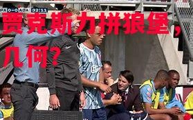 星空体育app-阿贾克斯力拼狼堡，胜算几何？