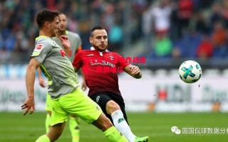 星空体育官网-汉诺威96主场作战连胜，稳固地位