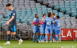 星空体育-澳洲队在重要赛事中展现出色实力，闪耀赛场