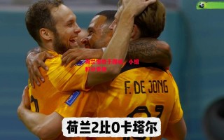 星空体育官方网站-荷兰惨败于挪威，小组积分受挫