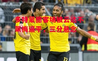 星空体育官方网站-多特蒙德客场被云达不莱梅逼平，三分悬念