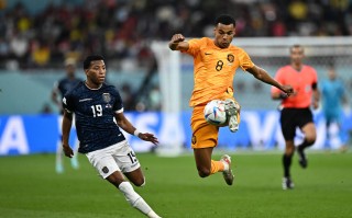 欧洲杯赛中球队表现出色，比分悬殊