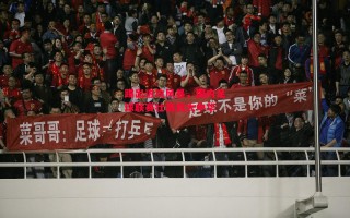 星空体育官网入口-踢出进攻风暴，国内足球联赛壮哉我大中华