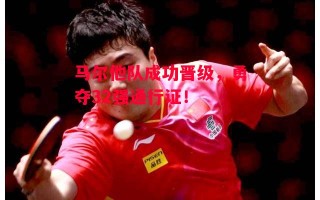 星空体育-马尔他队成功晋级，勇夺32强通行证！