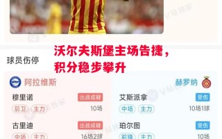 星空体育app-沃尔夫斯堡主场告捷，积分稳步攀升