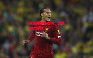 星空体育官方网站-范迪克脚踝受伤，恐缺席欧洲杯