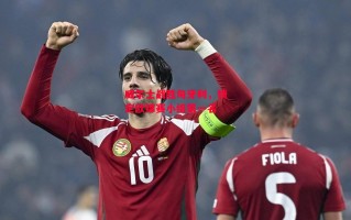 星空体育-威尔士战胜匈牙利，锁定欧锦赛小组第一名