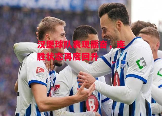星空体育-汉堡球队表现振奋，连胜状态再度回升-第1张图片-星空体育官方网站