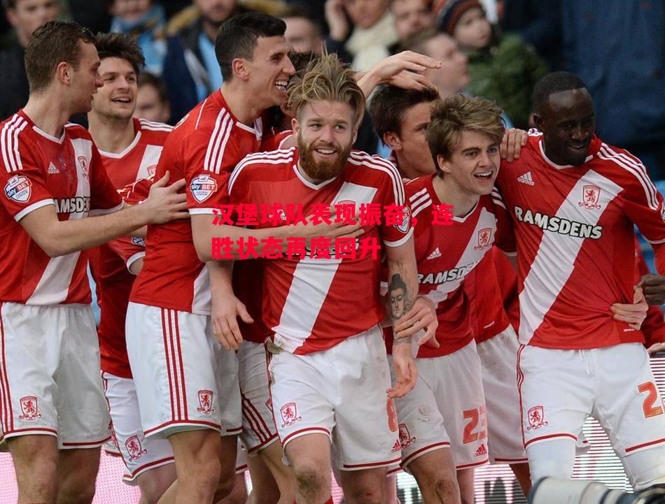 星空体育-汉堡球队表现振奋，连胜状态再度回升-第2张图片-星空体育官方网站