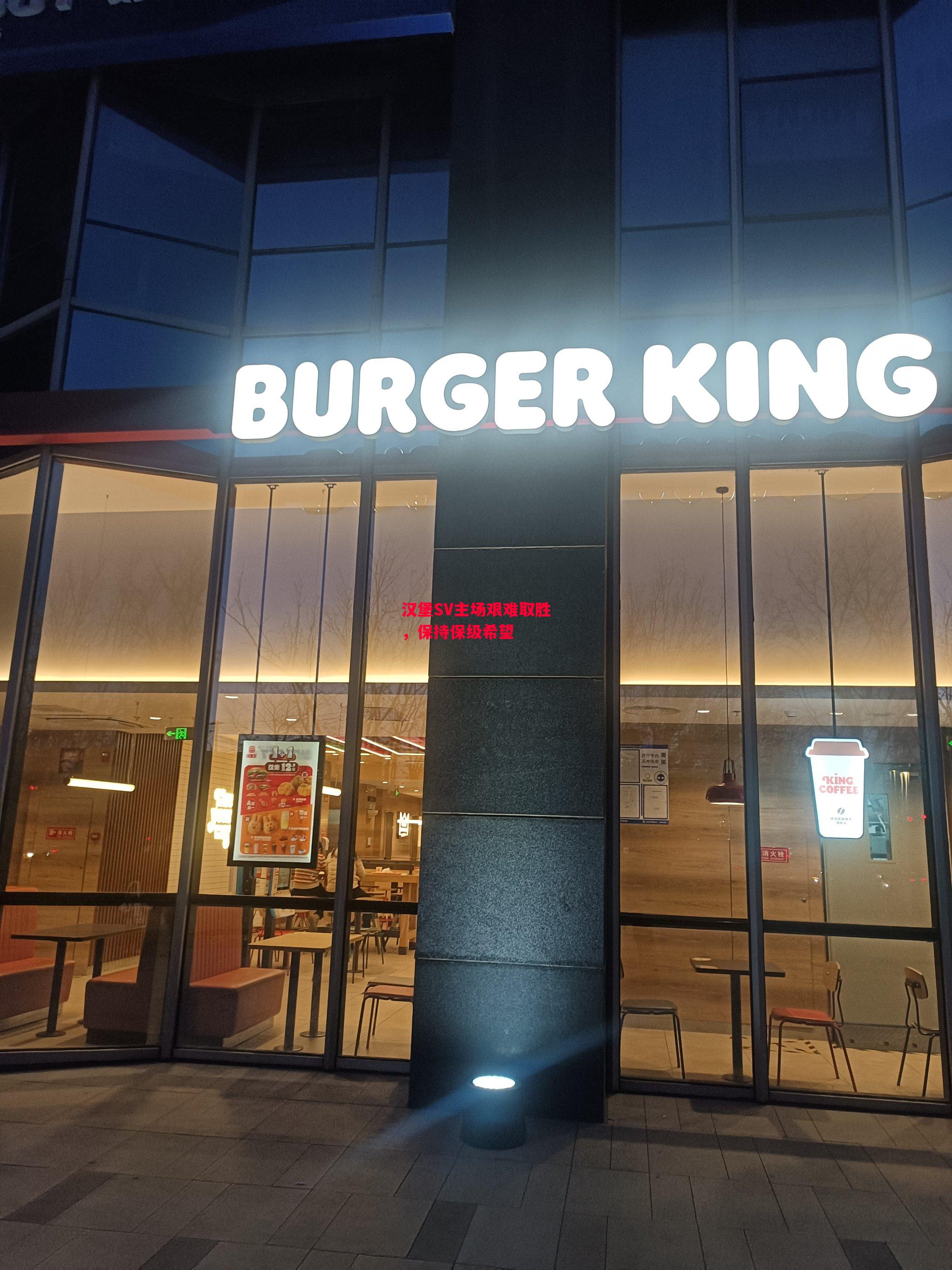 星空体育官网-汉堡SV主场艰难取胜，保持保级希望-第2张图片-星空体育官方网站