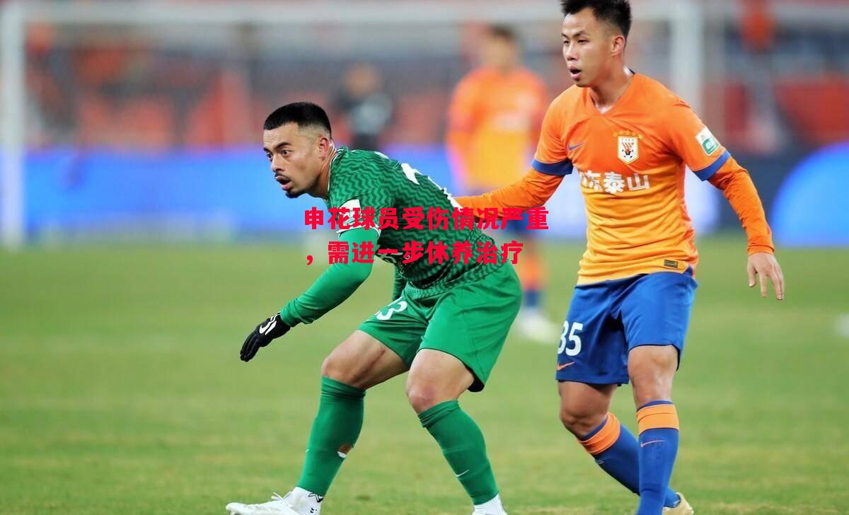 星空体育app-申花球员受伤情况严重，需进一步休养治疗-第1张图片-星空体育官方网站