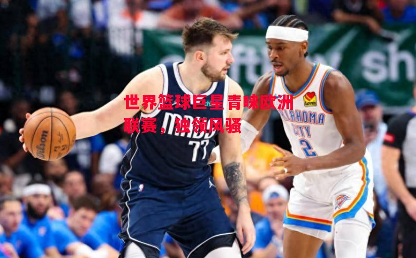 星空体育官网入口-世界篮球巨星青睐欧洲联赛，独领风骚-第1张图片-星空体育官方网站