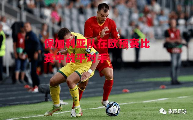 星空体育官方网站-保加利亚队在欧预赛比赛中战平对手-第2张图片-星空体育官方网站