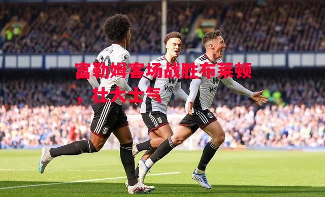 星空体育app-富勒姆客场战胜布莱顿，壮大士气-第1张图片-星空体育官方网站