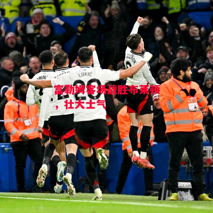 星空体育app-富勒姆客场战胜布莱顿，壮大士气-第2张图片-星空体育官方网站