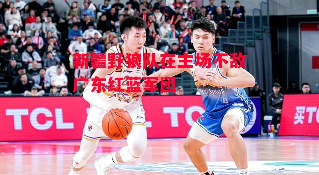 星空体育-新疆野狼队在主场不敌广东红蓝军团-第2张图片-星空体育官方网站
