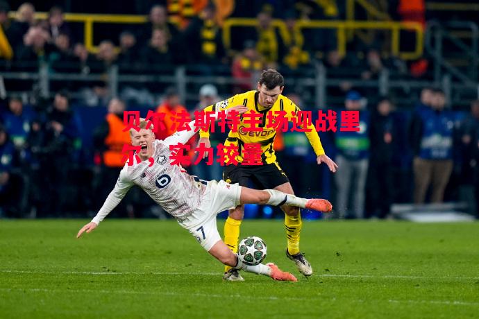 星空体育官方网站-贝尔法斯特主场迎战里尔，实力较量-第1张图片-星空体育官方网站