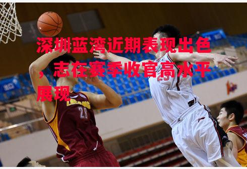 星空体育app-深圳蓝湾近期表现出色，志在赛季收官高水平展现-第1张图片-星空体育官方网站