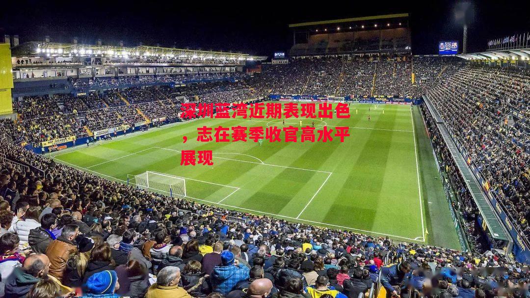 星空体育app-深圳蓝湾近期表现出色，志在赛季收官高水平展现-第2张图片-星空体育官方网站