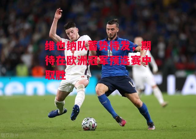 星空体育官网入口-维也纳队蓄势待发，期待在欧洲冠军预选赛中取胜-第2张图片-星空体育官方网站